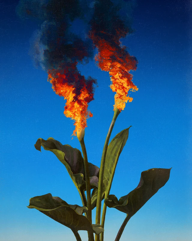 Bloom and Doom